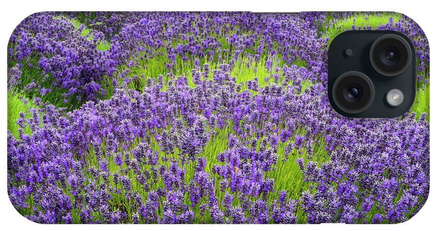 Flowers iPhone Case featuring the digital art Lavender in blooming by Michael Lee