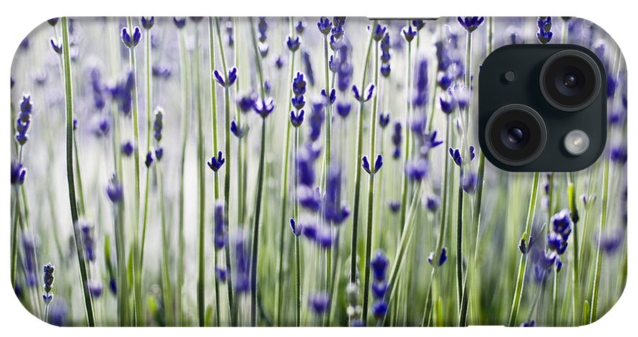 Abstract iPhone Case featuring the photograph Lavender Patterns by Ray Laskowitz - Printscapes