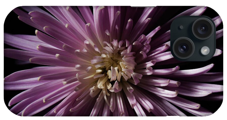 Flower iPhone Case featuring the photograph Lavender Spider Mum by Eugene Campbell