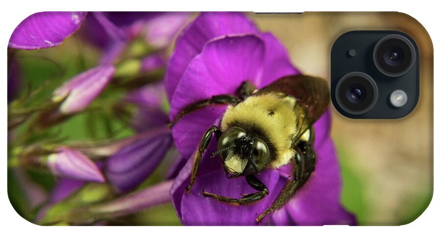 Lazy iPhone Case featuring the photograph Lazy Bee by Douglas Barnett