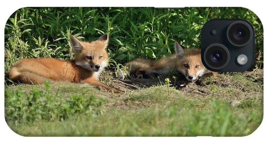 Nature iPhone Case featuring the photograph Lazy Sunday at The Den-Fox Kits by David Porteus