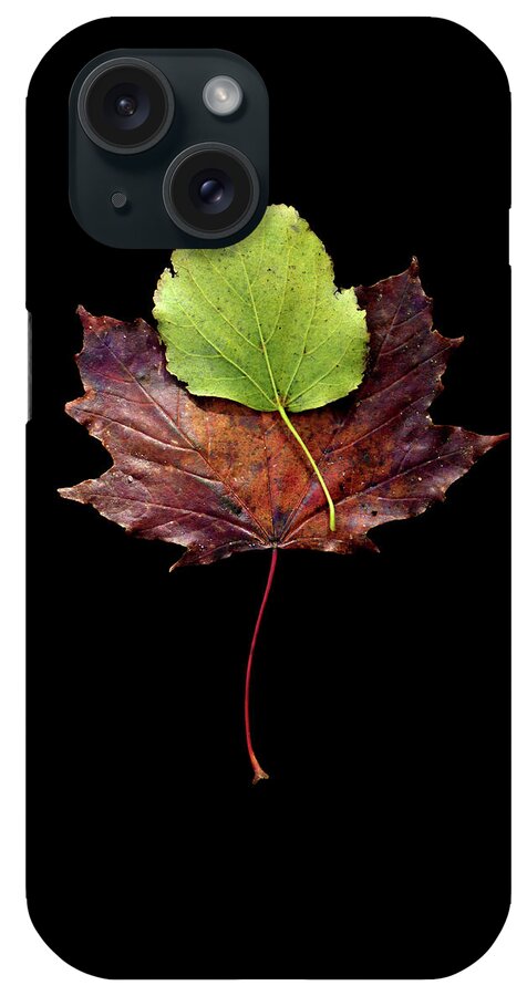 Leaf iPhone Case featuring the photograph Leaf 15 by David J Bookbinder