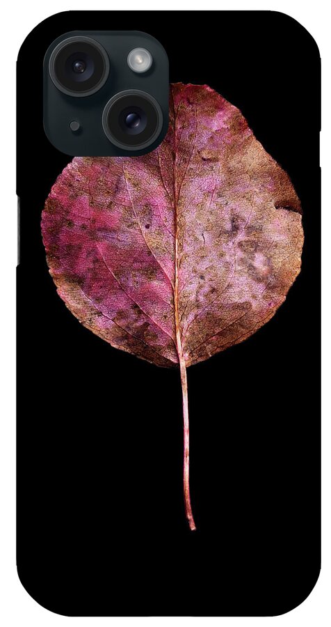Leaves iPhone Case featuring the photograph Leaf 20 by David J Bookbinder