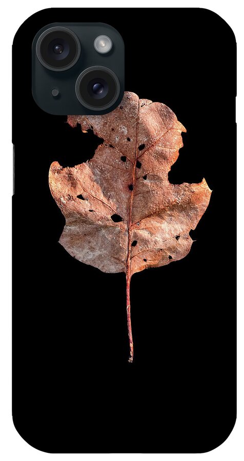 Leaves iPhone Case featuring the photograph Leaf 24 by David J Bookbinder