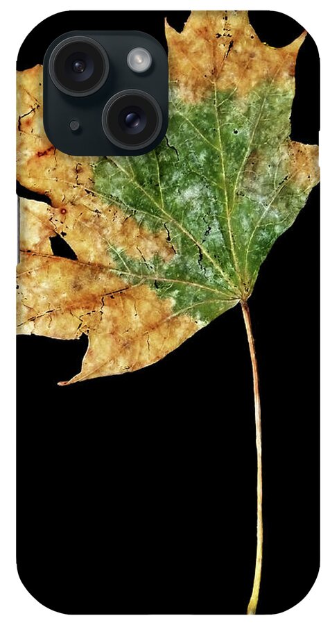 Leaf iPhone Case featuring the photograph Leaf 9 by David J Bookbinder
