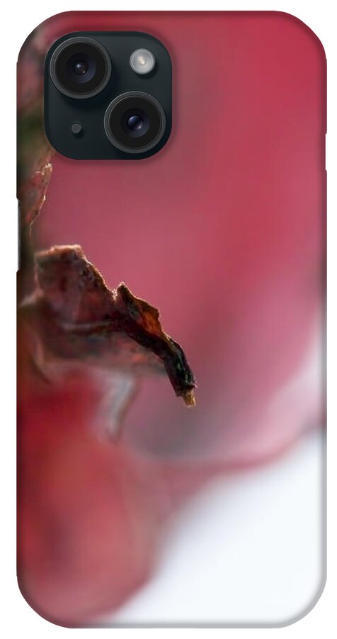 Abstract iPhone Case featuring the photograph Leaf Abstract II by Lauren Radke