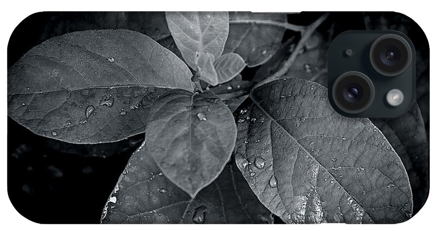 Detail iPhone Case featuring the photograph Leaf Droplets by Andy Smetzer