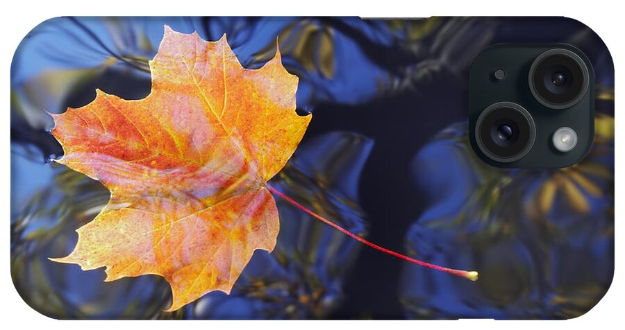 Leaf iPhone Case featuring the photograph Leaf On The Water by Michal Boubin