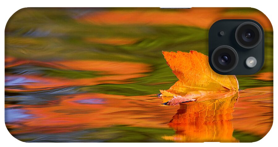 Fall iPhone Case featuring the photograph Leaf on water by Benjamin Dahl