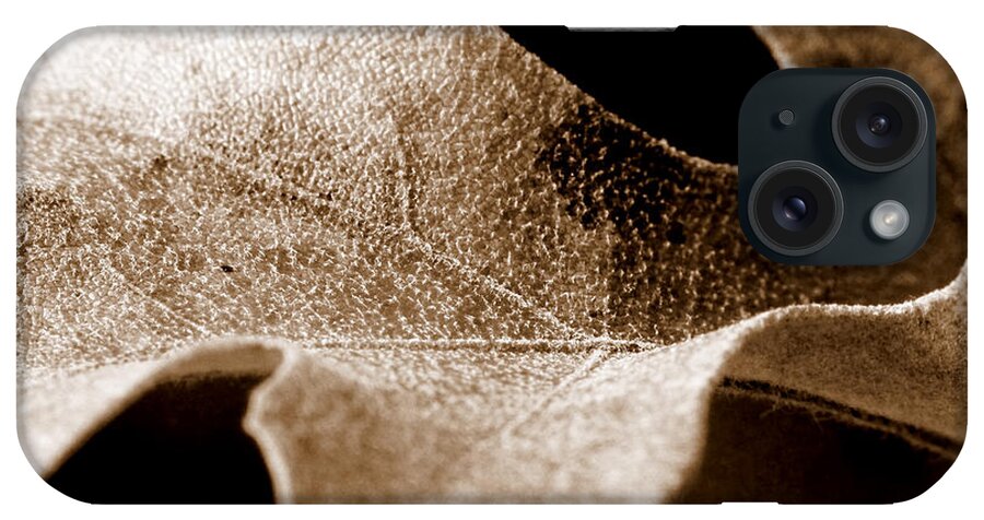 Macro iPhone Case featuring the photograph Leaf Study in Sepia by Lauren Radke