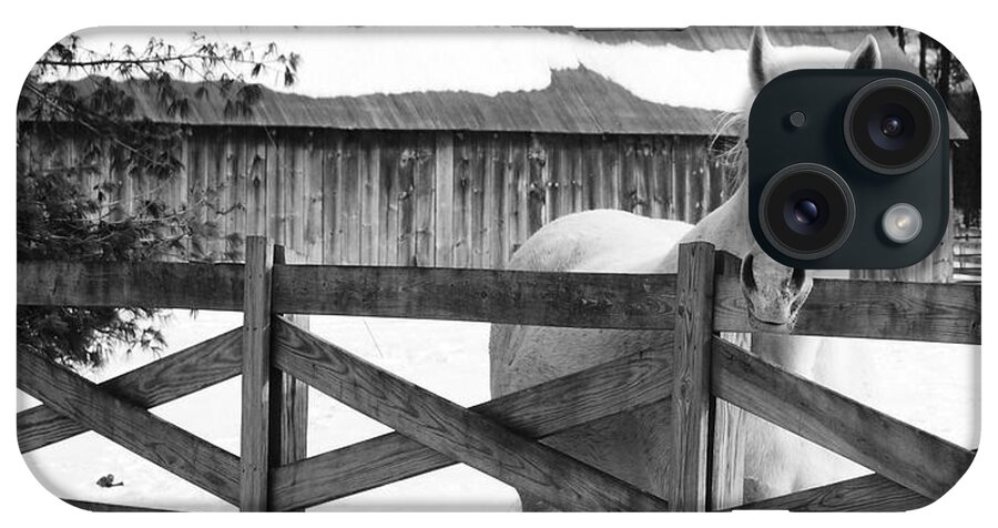 Horse iPhone Case featuring the photograph Leaning on The Fence by Eric Liller