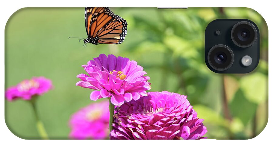 Butterfly Flying Flight Mid-air Mid Air Monarch Inset Butterflies Flowers Garden Botany Botanical Outside Outdoors Nature Natural Brian Hale Brianhalephoto Ma Mass Massachusetts Newengland New England U.s.a. Usa iPhone Case featuring the photograph Leaping Butterfly by Brian Hale