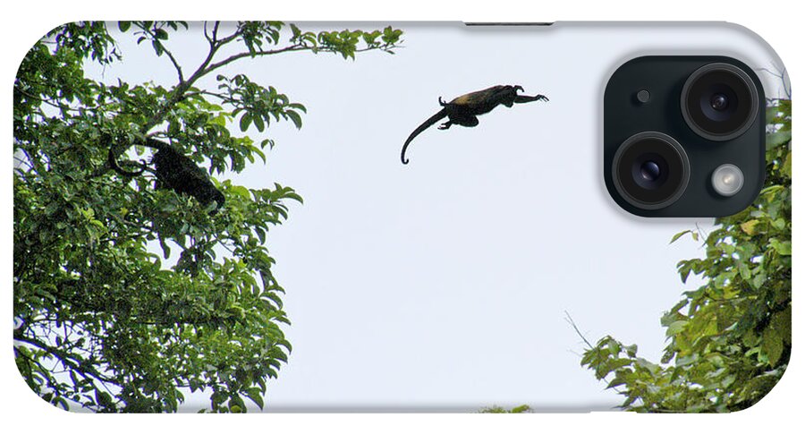 Monkey iPhone Case featuring the photograph Leaping Monkey by Ted Keller