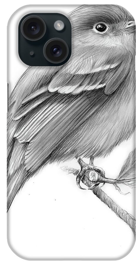 Least Flycatcher iPhone Case featuring the drawing Least Flycatcher by Greg Joens