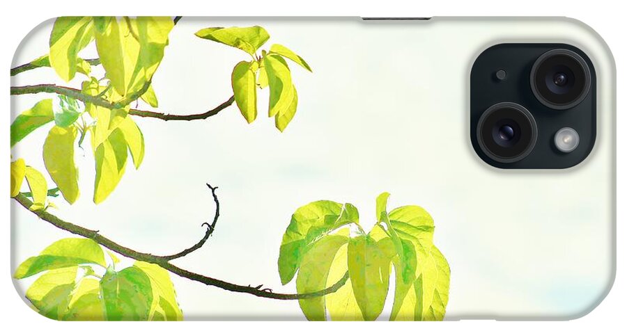 Leaves iPhone Case featuring the photograph Leaves in the Sun by Craig Wood