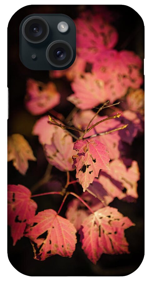 Autumn Pink Leaves iPhone Case featuring the photograph LEAVES of SURRENDER by Karen Wiles