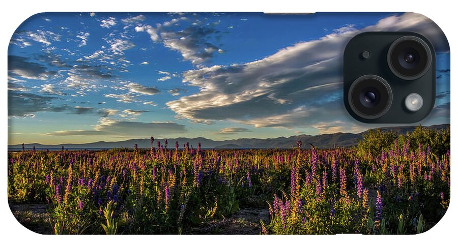 Lake Tahoe iPhone Case featuring the photograph Lenticular Lupine by Mitch Shindelbower