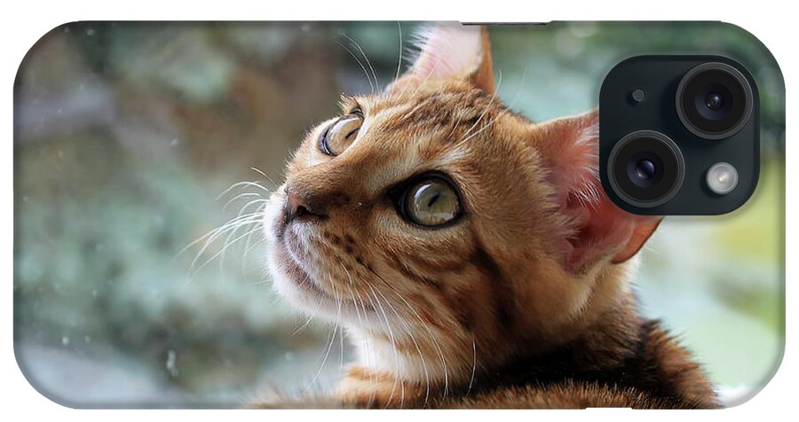 Animal iPhone Case featuring the photograph Leo The Bengal by Teresa Zieba