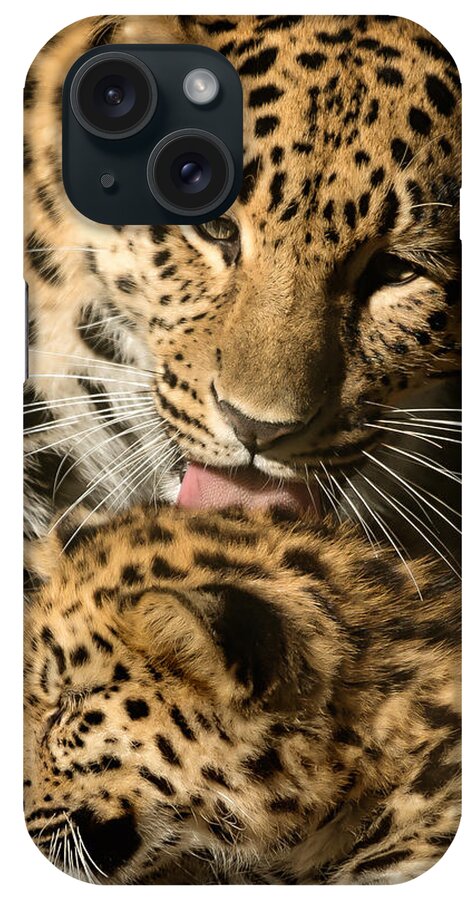 Amur iPhone Case featuring the photograph Leopard Cub Love by Chris Boulton