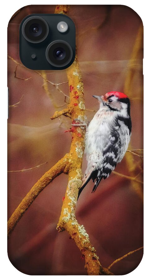 Lesser Spotted Woodpecker iPhone Case featuring the photograph Lesser Spotted Woodpecker - Dryobates minor by Marc Braner