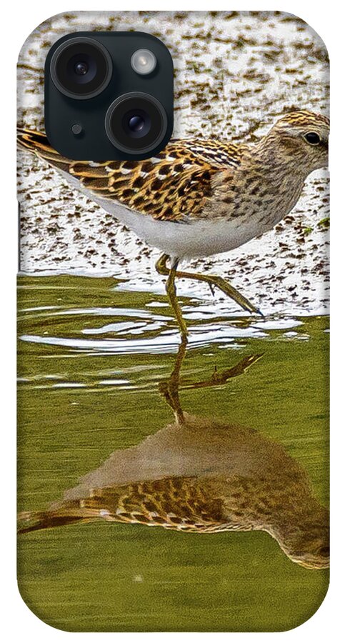 Sandpiper iPhone Case featuring the photograph Lest Sandpiper by Jerry Cahill