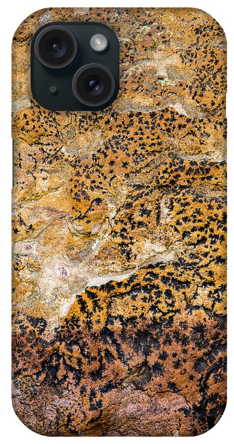 Lichen iPhone Case featuring the photograph Lichen abstract, Bhimbetka, 2016 by Hitendra SINKAR