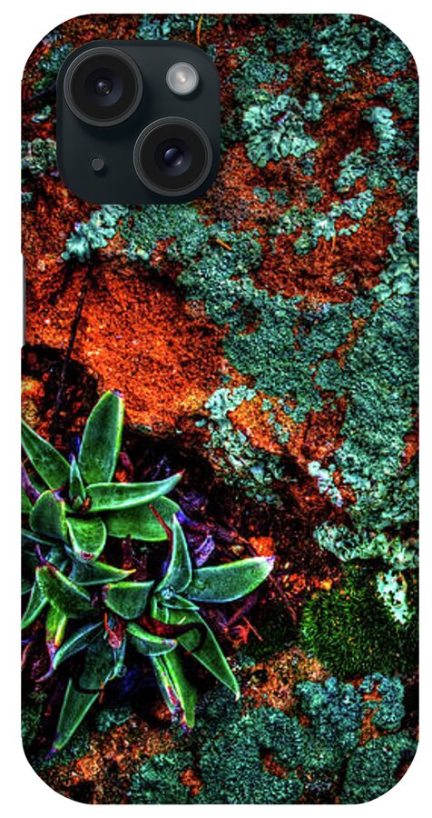 Arizona iPhone Case featuring the photograph Lichen, Moss and Desert Sage by Roger Passman