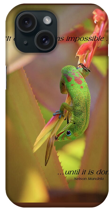 Gecko iPhone Case featuring the photograph Life Lessons From a Gecko #1 by Susan Rissi Tregoning