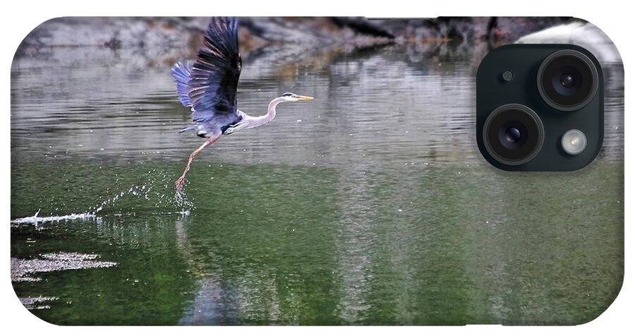Great Blue Heron iPhone Case featuring the photograph Lift Off by John Meader