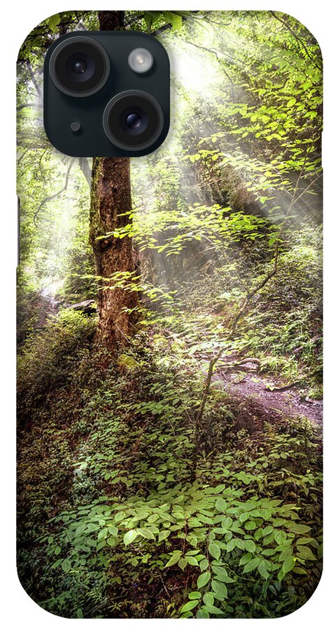 Appalachia iPhone Case featuring the photograph Light along the Trail by Debra and Dave Vanderlaan