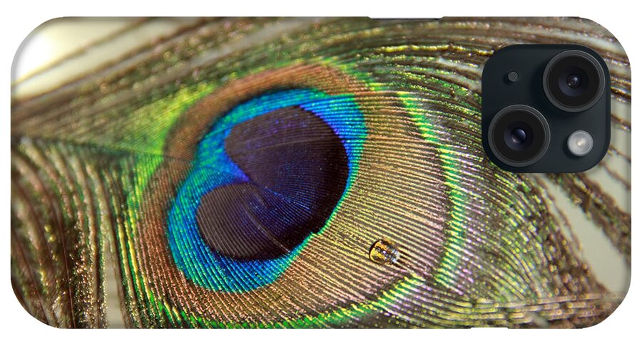 Peacock Feathers iPhone Case featuring the photograph Light and Feathers by Angela Murdock