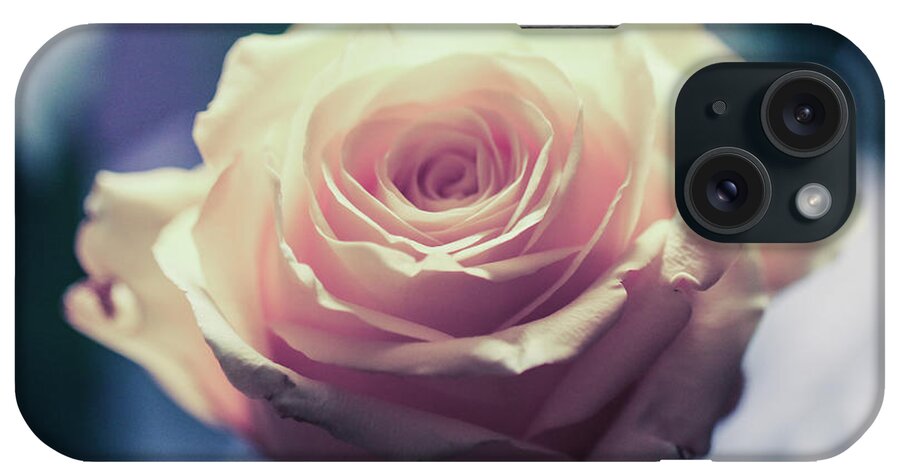 Art iPhone Case featuring the photograph Light Pink Head Of A Rose On Blue Background by Amanda Mohler