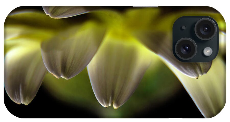 Flower iPhone Case featuring the photograph Lighting up the petals by Wolfgang Stocker