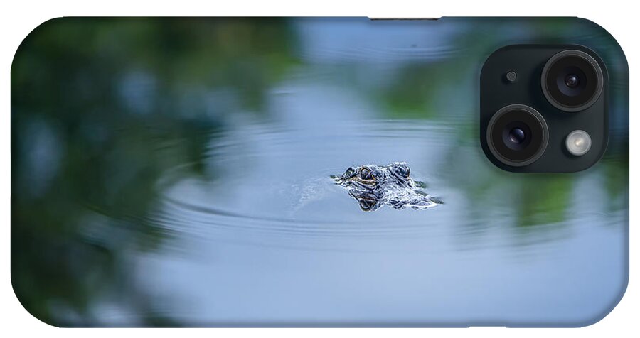 Wekiwa Springs State Park iPhone Case featuring the photograph Lil Guy by Craig Szymanski