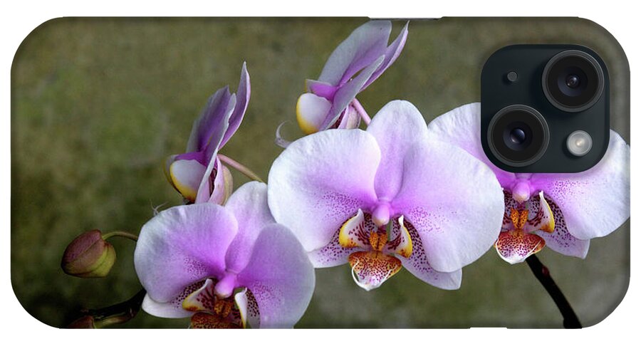 Orchids iPhone Case featuring the photograph Lilac Orchids by Rochelle Berman