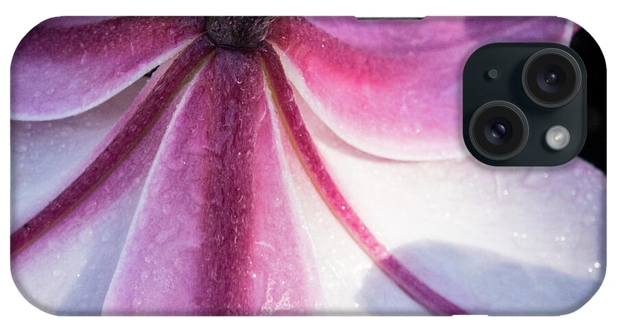Jean Noren iPhone Case featuring the photograph Lilies Backside by Jean Noren