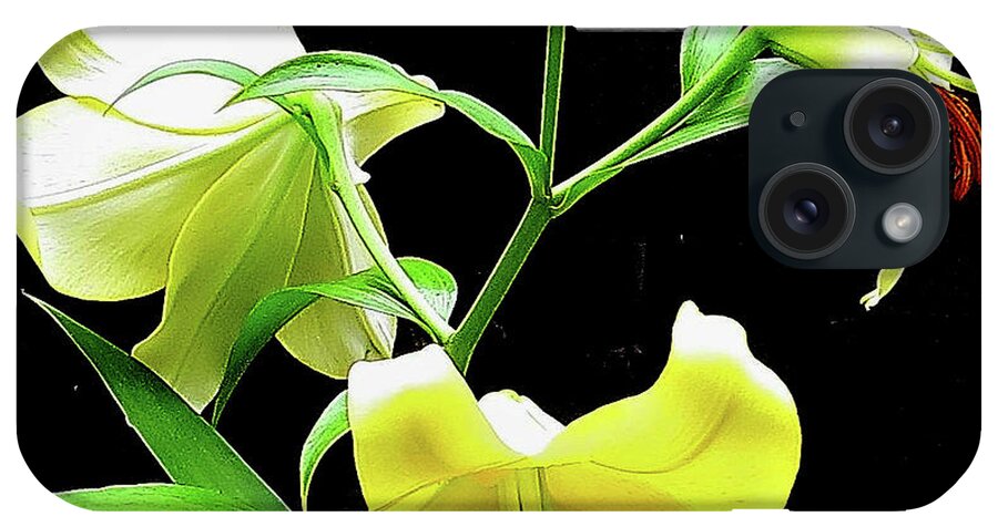 Flower iPhone Case featuring the photograph Lilies in the sun by Linda Stern
