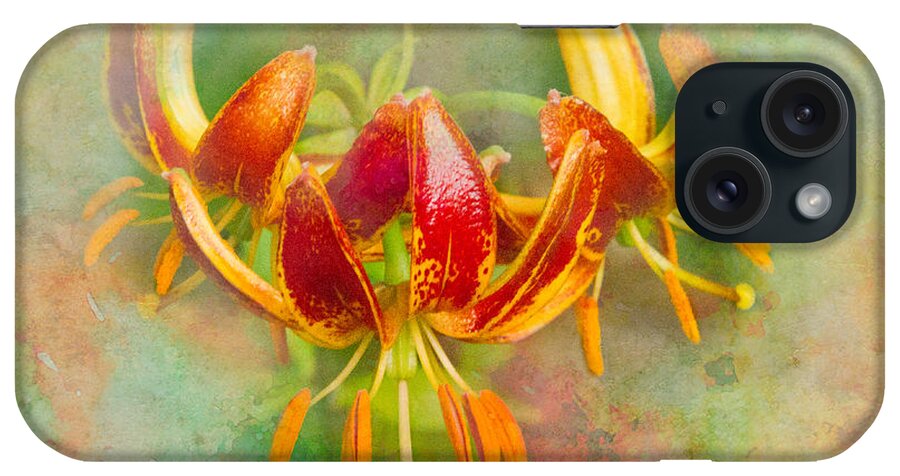 Lily iPhone Case featuring the photograph Lilliputian Lily by Marilyn Cornwell