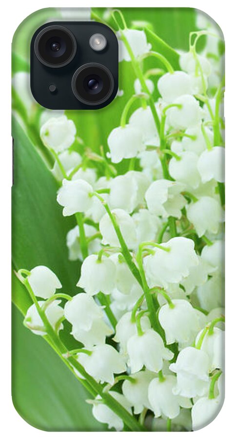 Lilly iPhone Case featuring the photograph Lilly of the Valley Flowers Close up by Anastasy Yarmolovich