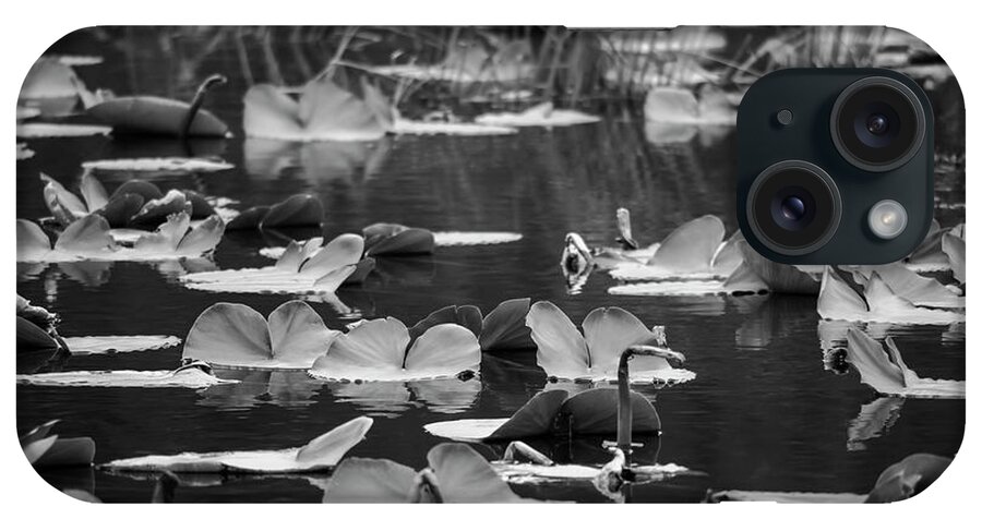 Landscapes iPhone Case featuring the photograph Lilly Pond by Steven Clark