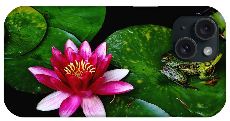 Lily iPhone Case featuring the photograph Lily And The Frog by Debbie Oppermann