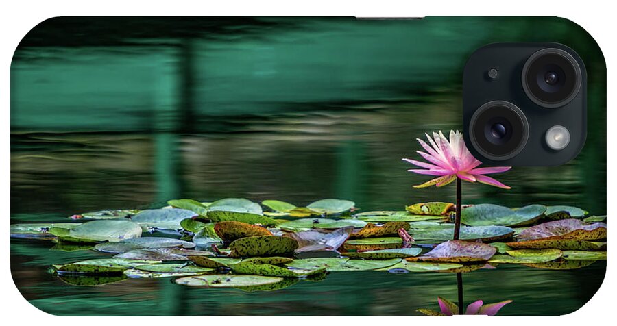 Gibbs Gardens iPhone Case featuring the photograph Lily Bridge by Doug Sturgess
