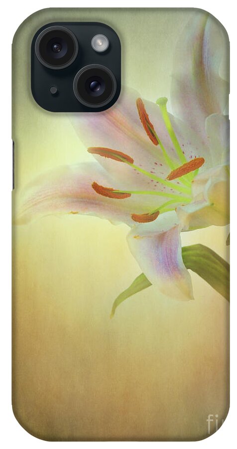 Lily iPhone Case featuring the photograph Lily by Eena Bo