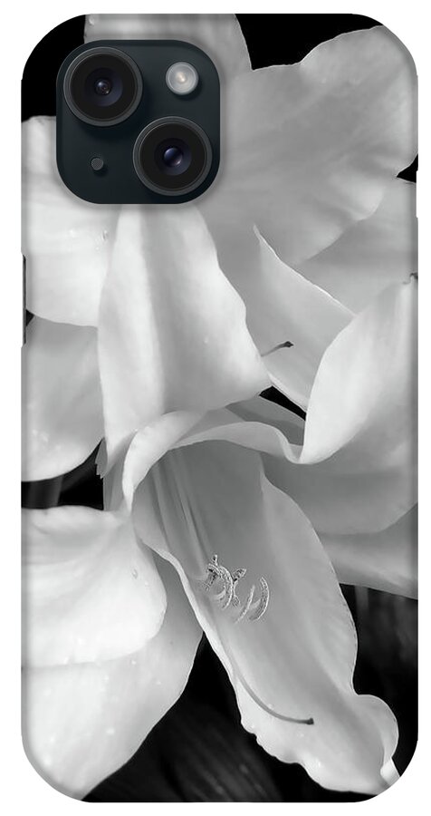 Lily iPhone Case featuring the photograph Lily Flowers Black and White by Jennie Marie Schell