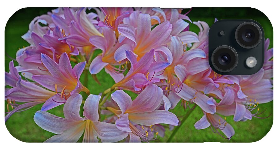 Lily iPhone Case featuring the photograph Lily Lavender by George D Gordon III
