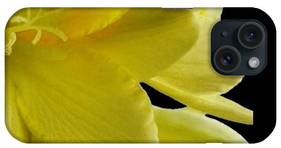 Nature iPhone Case featuring the photograph Lily Scent by Awni H