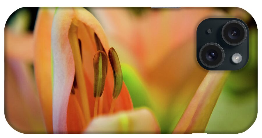 Flower iPhone Case featuring the photograph Lily by Mariusz Talarek