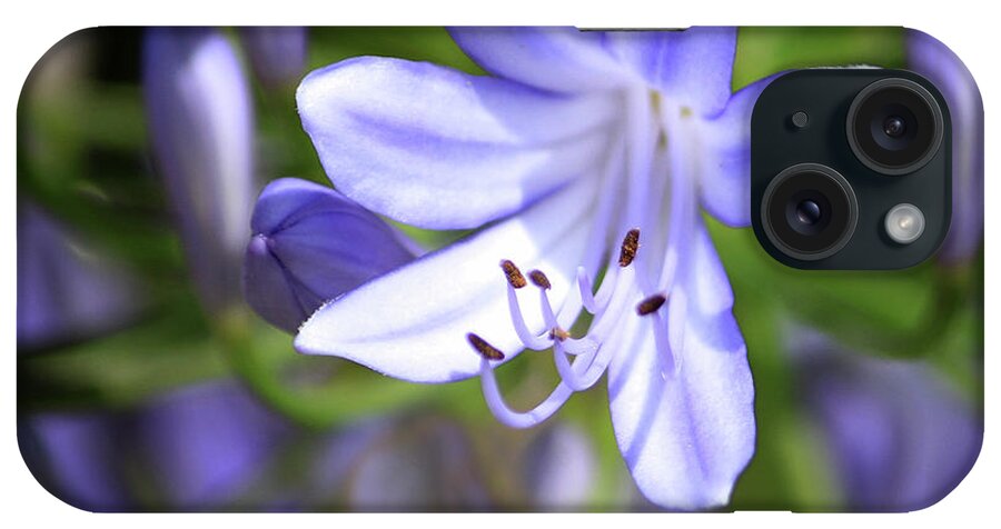 Blue Flower iPhone Case featuring the photograph Lily of the Nile in Macro by Cheryl Day