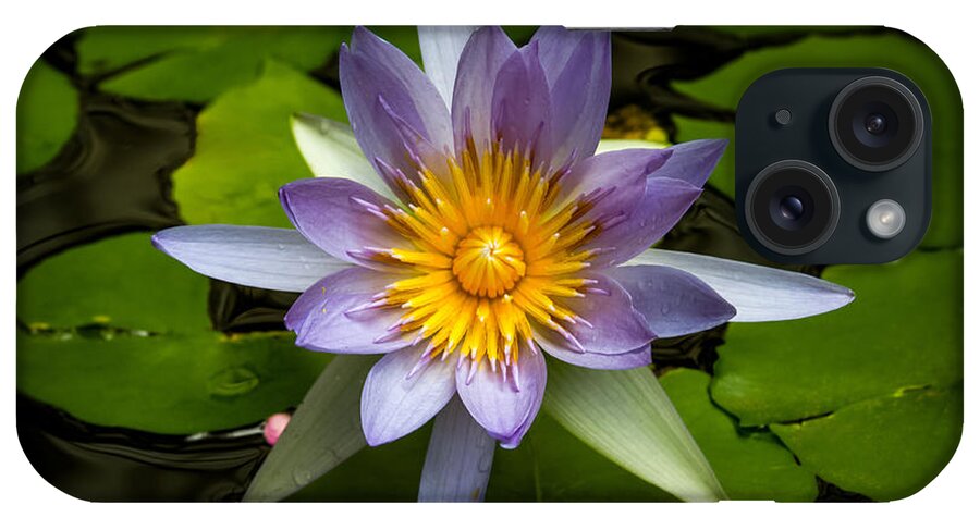 Bonnie Follett iPhone Case featuring the photograph Lily Queen of the Pond by Bonnie Follett