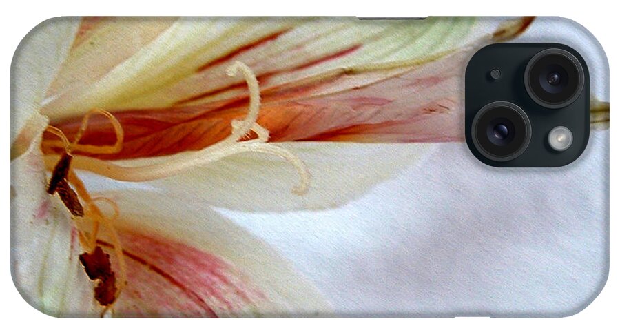 Lily iPhone Case featuring the photograph Lily with Texture by Kae Cheatham